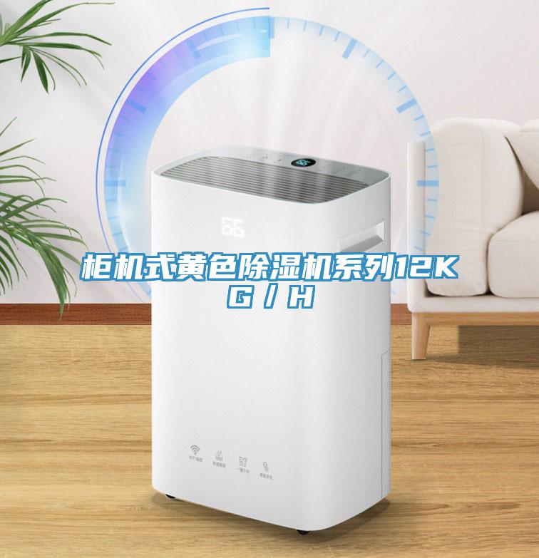 櫃機式黃色草莓小视频黄色係列12KG／H