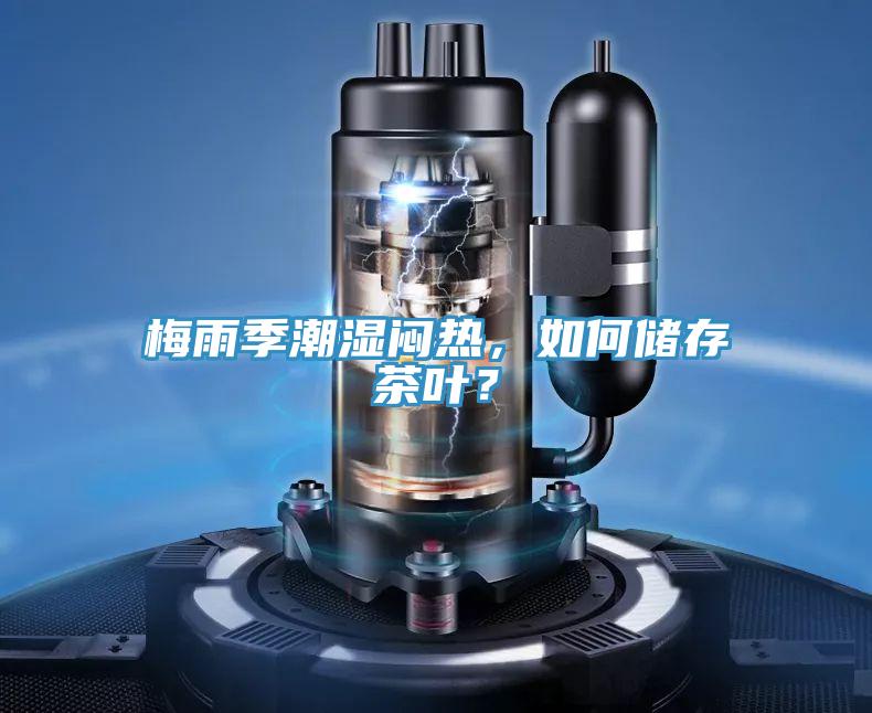 梅雨季潮濕悶熱，如何儲存茶葉？