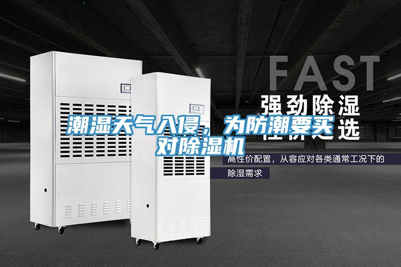 潮濕天氣入侵，為防潮要買對草莓小视频黄色