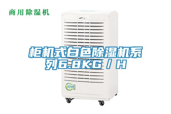 櫃機式白色草莓小视频黄色係列6.8KG／H