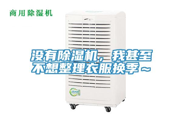 沒有草莓小视频黄色，我甚至不想整理衣服換季～