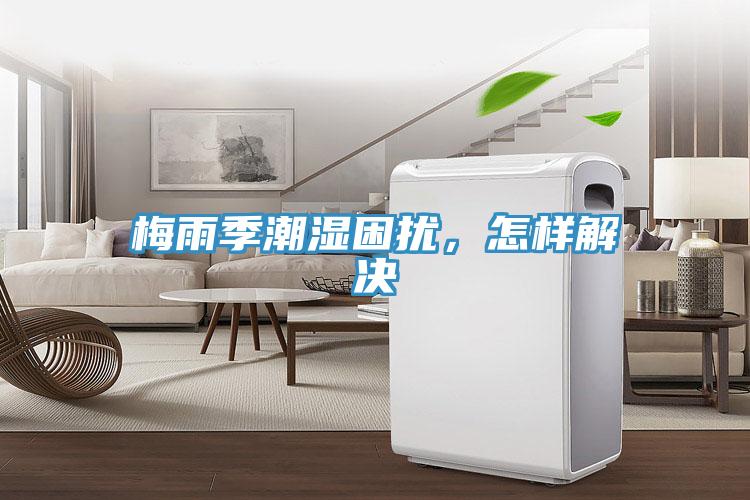 梅雨季潮濕困擾，怎樣解決