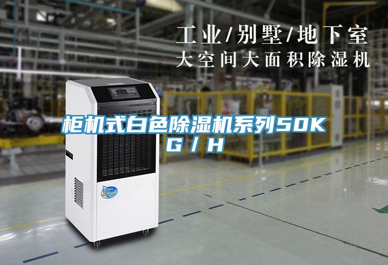櫃機式白色草莓小视频黄色係列50KG／H