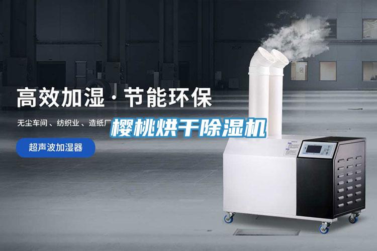 櫻桃烘幹草莓小视频黄色