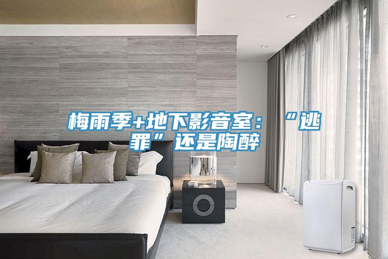梅雨季+地下影音室：“逃罪”還是陶醉