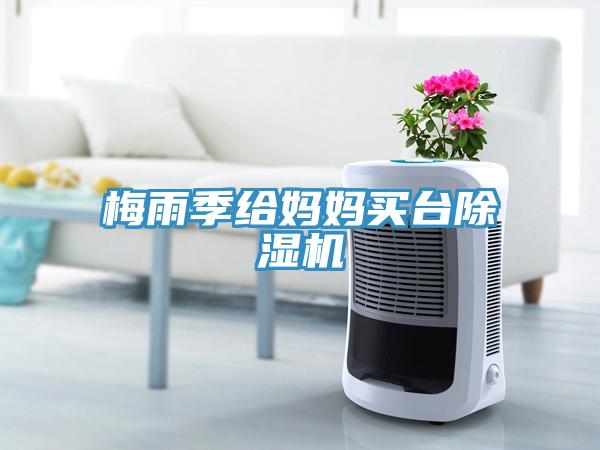 梅雨季給媽媽買台草莓小视频黄色