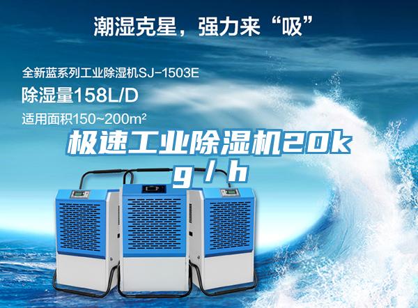 極速工業草莓小视频黄色20kg／h