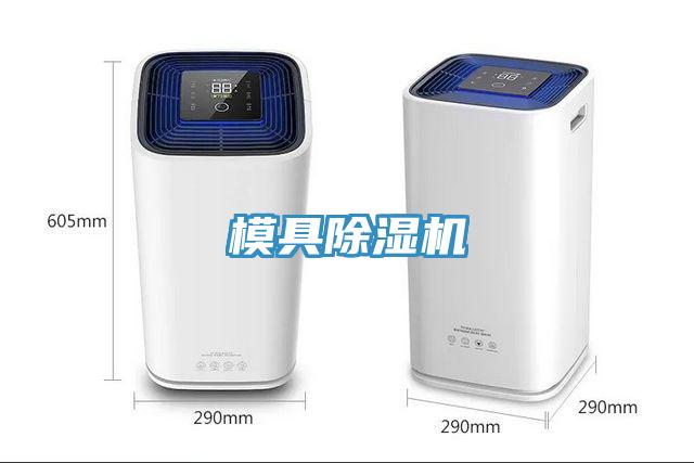 模具草莓小视频黄色