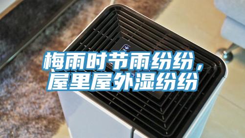 梅雨時節雨紛紛，屋裏屋外濕紛紛