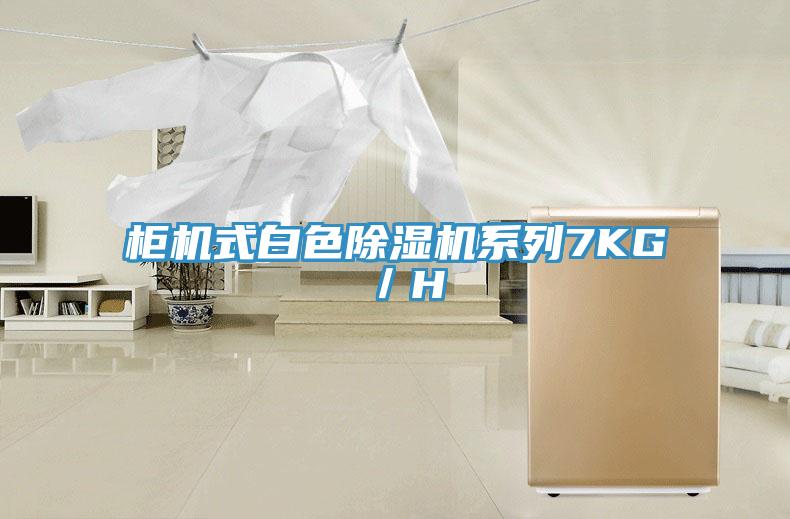 櫃機式白色草莓小视频黄色係列7KG／H