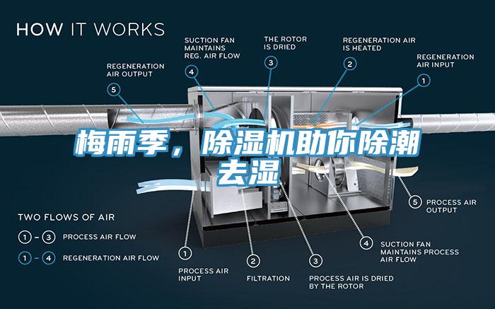 梅雨季，草莓小视频黄色助你除潮去濕