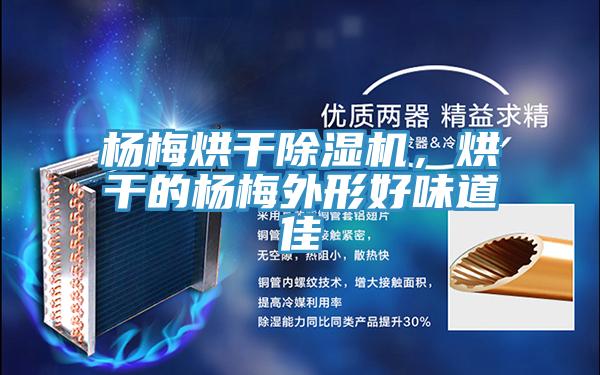 楊梅烘幹草莓小视频黄色，烘幹的楊梅外形好味道佳