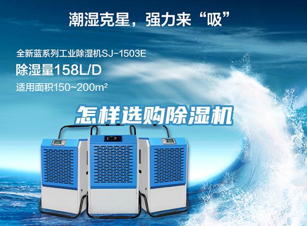 怎樣選購草莓小视频黄色