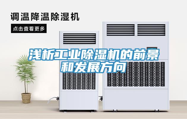 淺析工業草莓小视频黄色的前景和發展方向