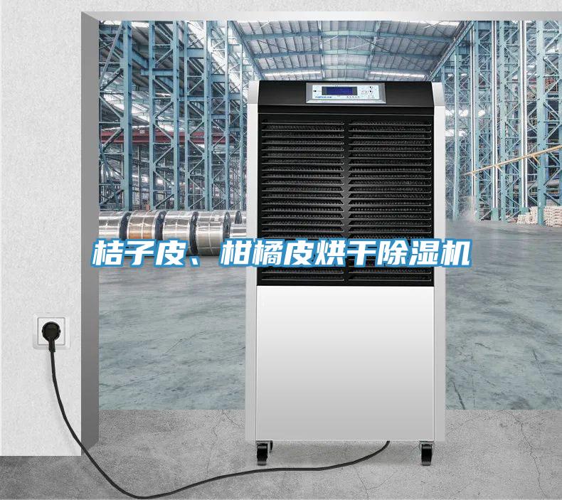 桔子皮、柑橘皮烘幹草莓小视频黄色