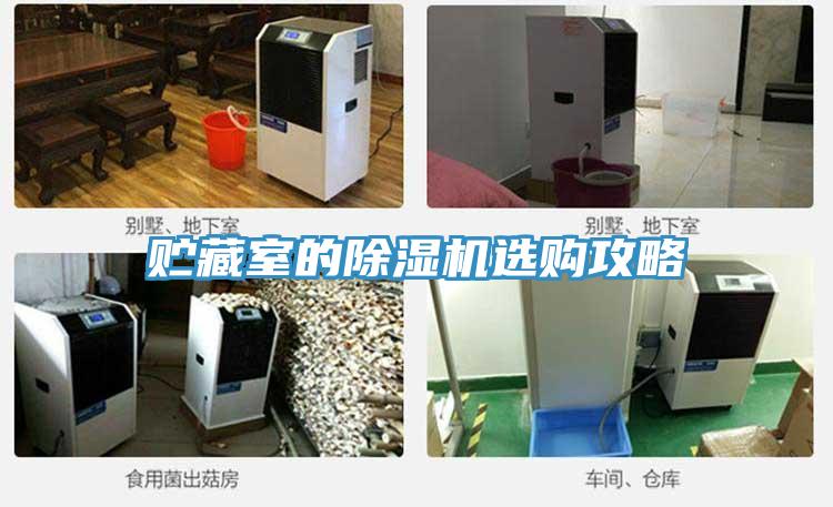 貯藏室的草莓小视频黄色選購攻略