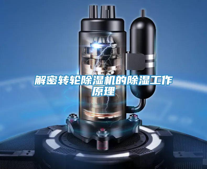 解密轉輪草莓小视频黄色的除濕工作原理