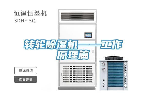 轉輪草莓小视频黄色——工作原理篇