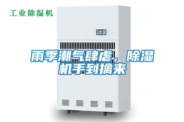 雨季潮氣肆虐，草莓小视频黄色手到擒來