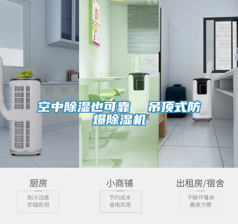空中除濕也可靠  吊頂式防爆草莓小视频黄色
