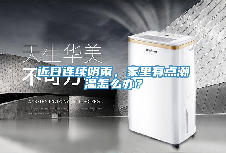 近日連續陰雨，家裏有點潮濕怎麽辦？