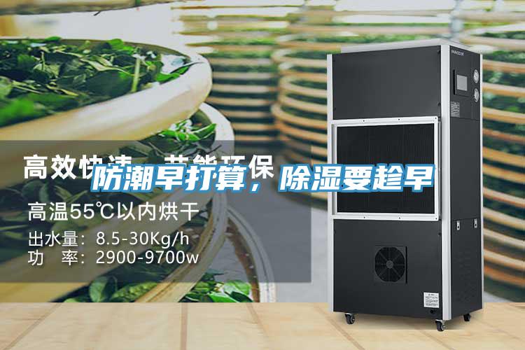 防潮早打算，除濕要趁早