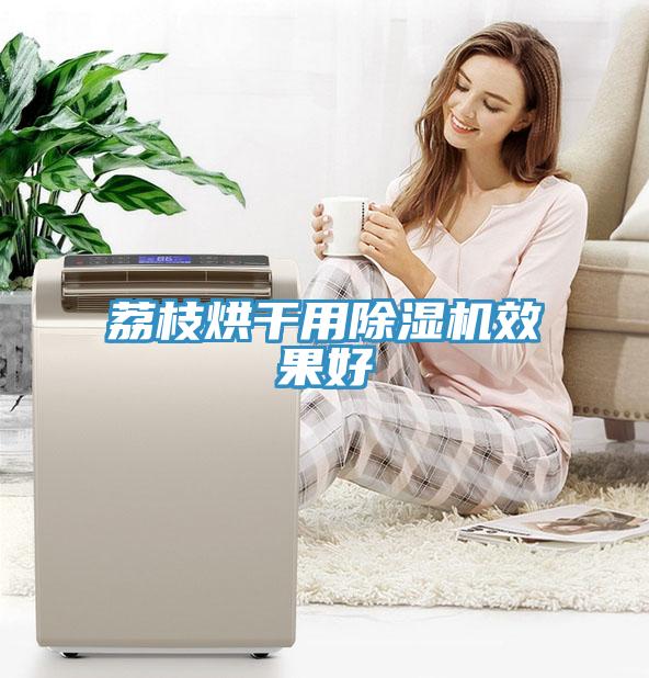 荔枝烘幹用草莓小视频黄色效果好