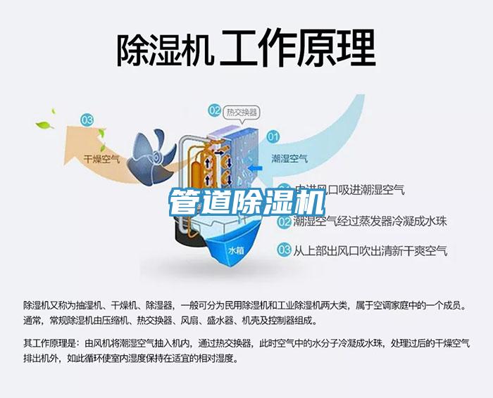 管道草莓小视频黄色