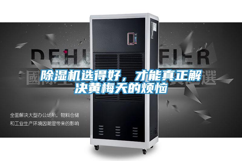 草莓小视频黄色選得好，才能真正解決黃梅天的煩惱