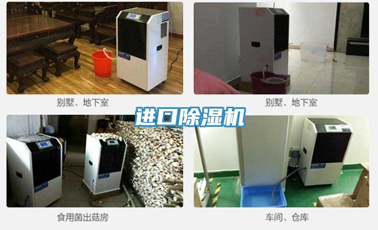 進口草莓小视频黄色