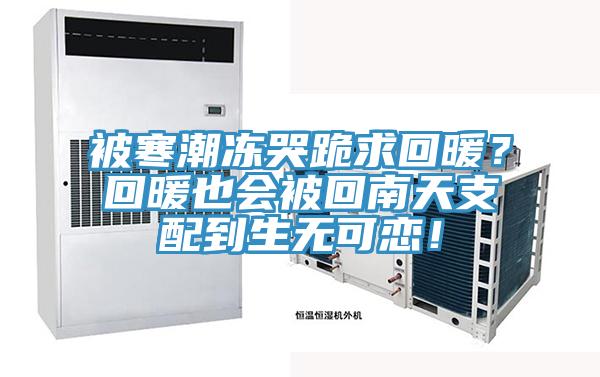 被寒潮凍哭跪求回暖？回暖也會被回南天支配到生無可戀！