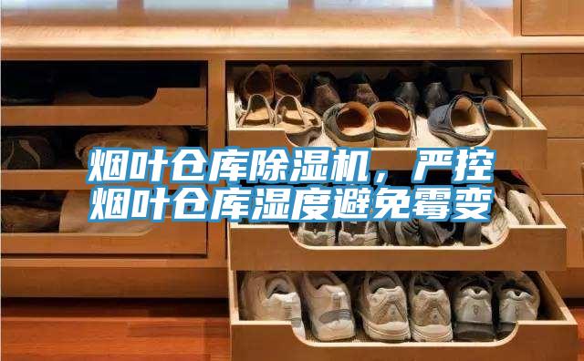 煙葉倉庫草莓小视频黄色，嚴控煙葉倉庫濕度避免黴變