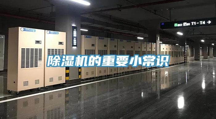 草莓小视频黄色的重要小常識