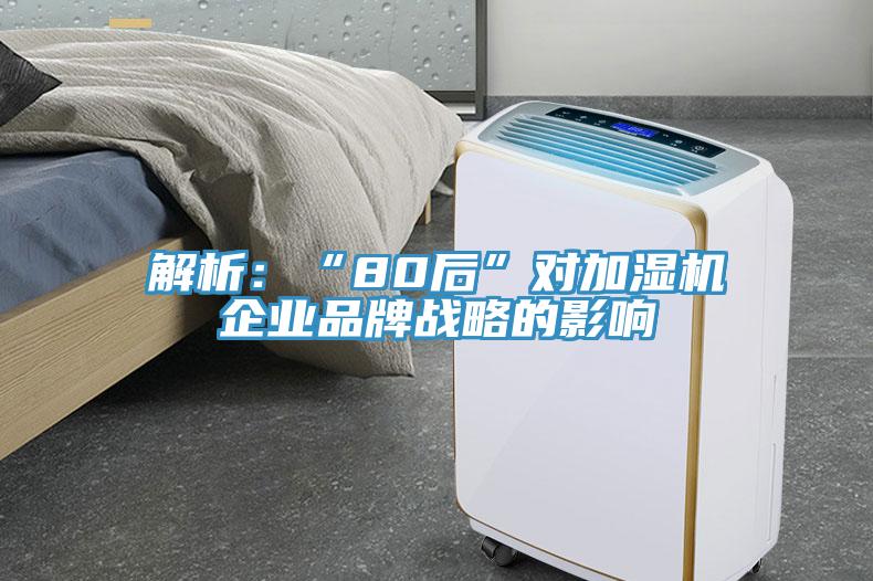 解析：“80後”對加濕機企業品牌戰略的影響