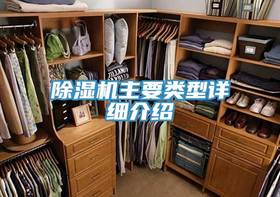 草莓小视频黄色主要類型詳細介紹