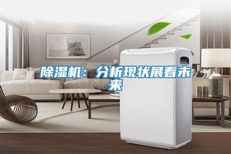 草莓小视频黄色：分析現狀展看未來