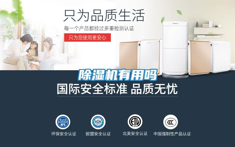 草莓小视频黄色有用嗎