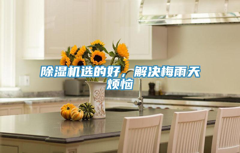 草莓小视频黄色選的好，解決梅雨天煩惱