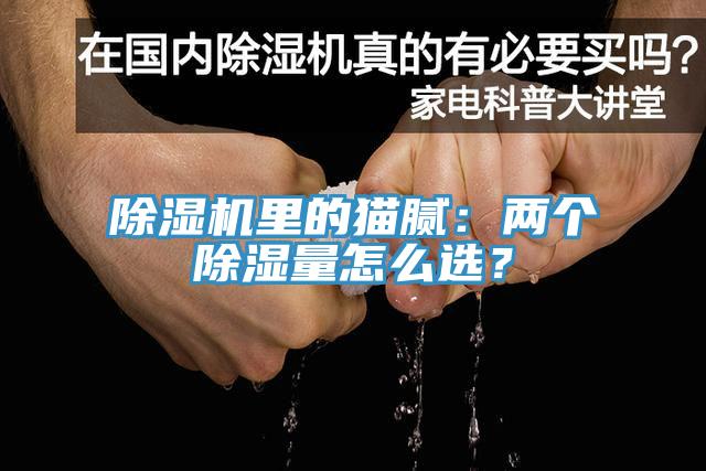 草莓小视频黄色裏的貓膩：兩個除濕量怎麽選？