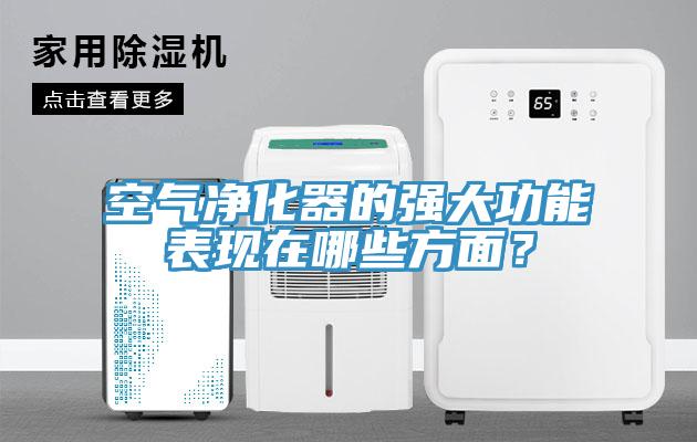 空氣淨化器的強大功能表現在哪些方麵？