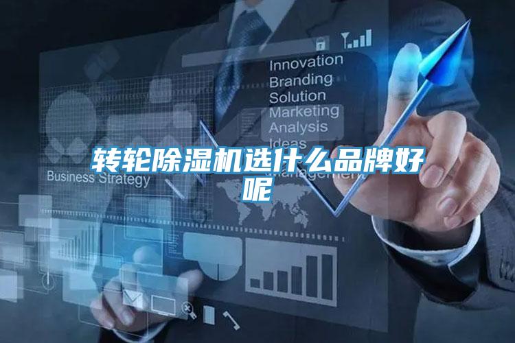 轉輪草莓小视频黄色選什麽品牌好呢