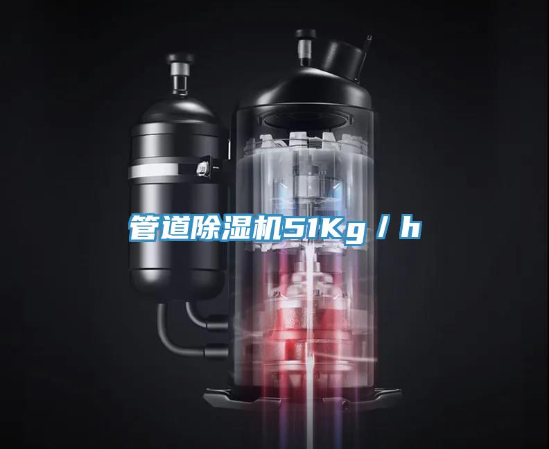 管道草莓小视频黄色51Kg／h