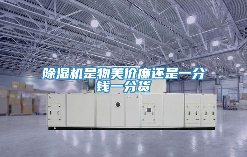 草莓小视频黄色是物美價廉還是一分錢一分貨