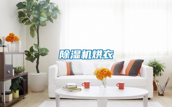 草莓小视频黄色烘衣