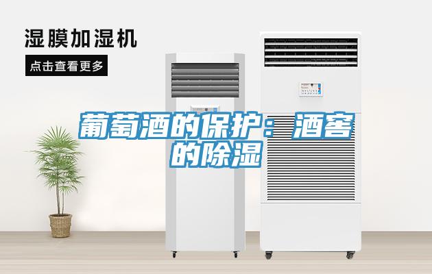 葡萄酒的保護：酒窖的除濕