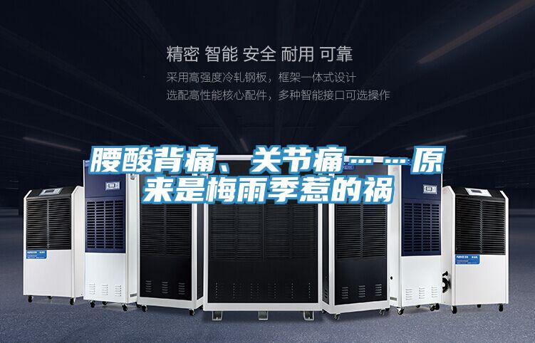 腰酸背痛、關節痛……原來是梅雨季惹的禍