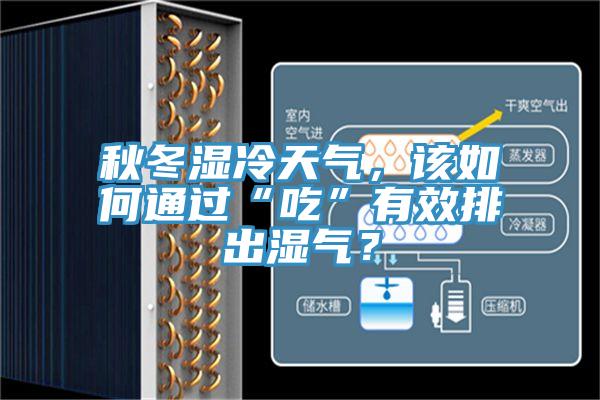 秋冬濕冷天氣，該如何通過“吃”有效排出濕氣？