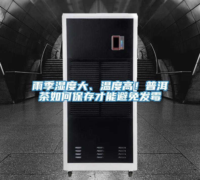 雨季濕度大、溫度高！普洱茶如何保存才能避免發黴