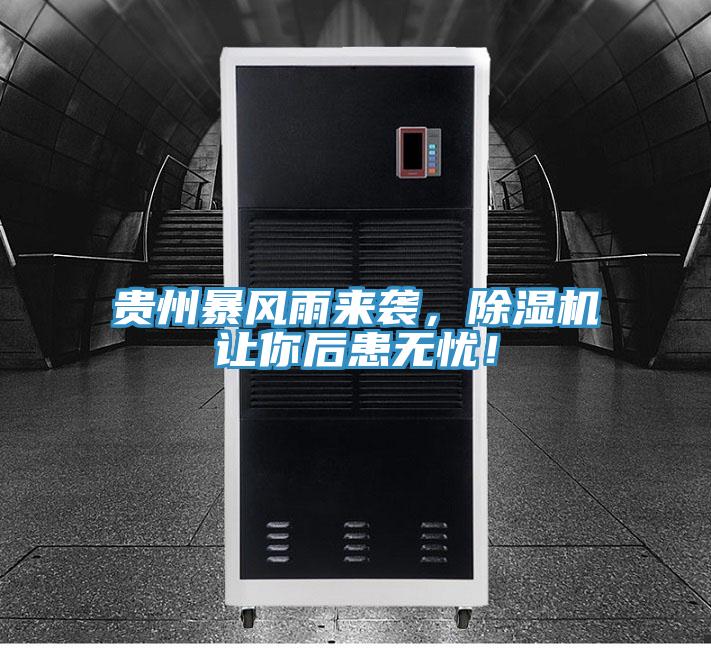 貴州暴風雨來襲，草莓小视频黄色讓你後患無憂！