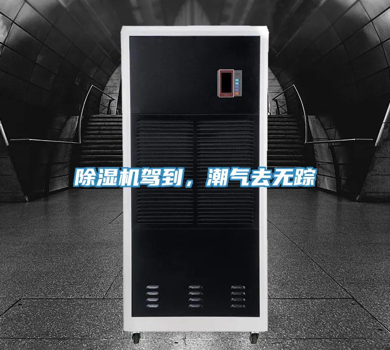 草莓小视频黄色駕到，潮氣去無蹤